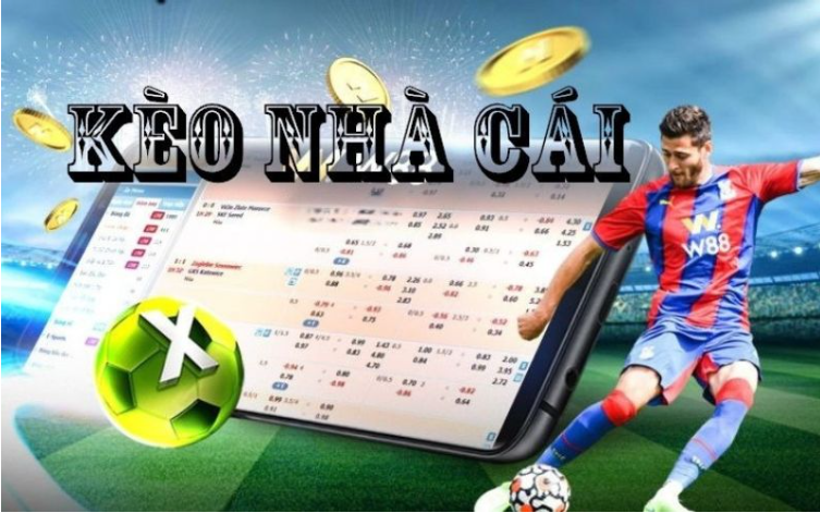 Tìm hiểu về hệ thống nhận định kèo nhà cái Tìm hiểu về hệ thống nhận định kèo nhà cái