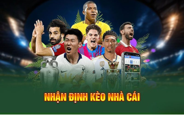 Dịch vụ cung cấp nhận định miễn phí 100% Dịch vụ cung cấp nhận định miễn phí 100%